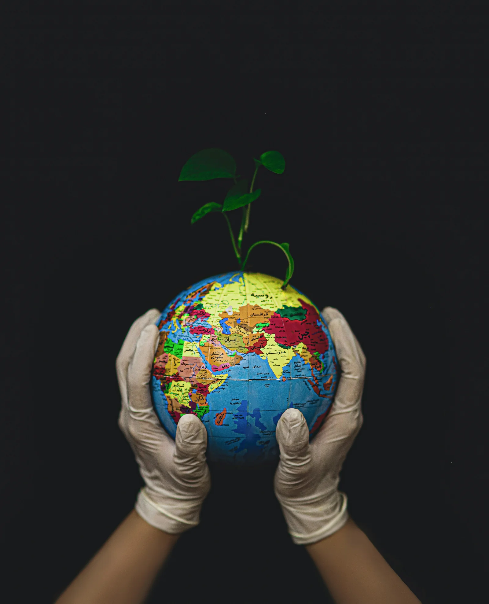 Environmental Services